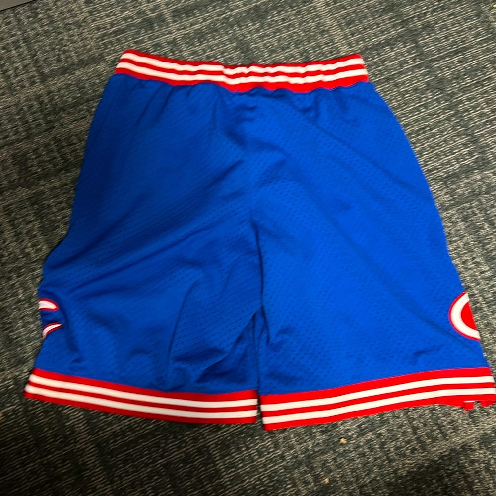 Never used Mesh Champion shorts Red/Blue